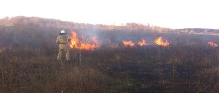 В Цюрупинском районе спасатели предотвратили переброске огня на лесной массив